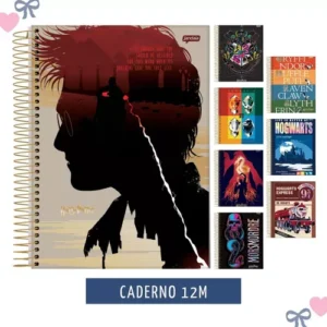 Caderno Harry Potter 12 Matérias Jandaia Espiral Capa Dura